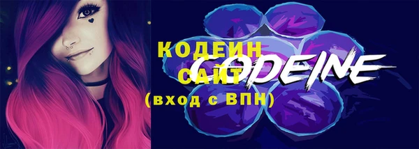молекула духа Медвежьегорск