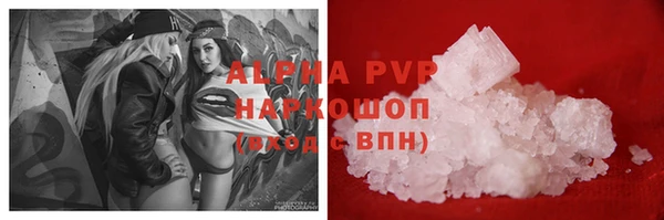 молекула духа Медвежьегорск