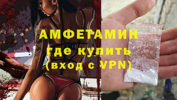 молекула духа Медвежьегорск