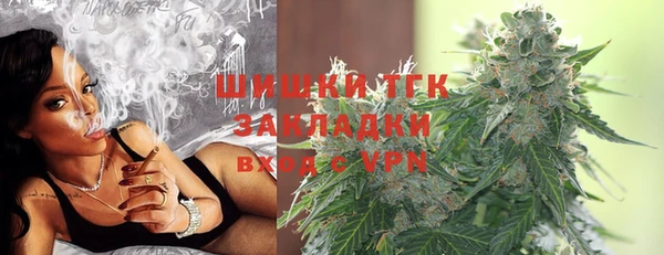 молекула духа Медвежьегорск