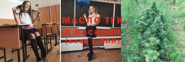 молекула духа Медвежьегорск