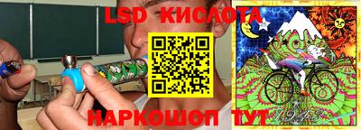 стафф Кингисепп