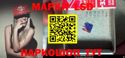 стафф Кингисепп
