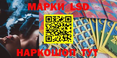 стафф Кингисепп