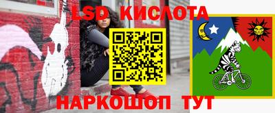 стафф Кингисепп