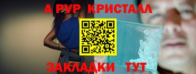 стафф Кингисепп