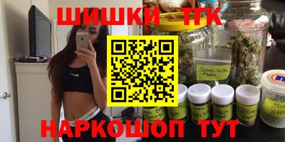 стафф Кингисепп