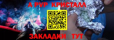 стафф Кингисепп