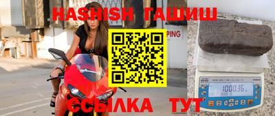 стафф Кингисепп