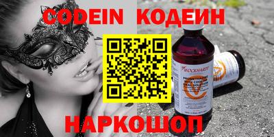 стафф Кингисепп